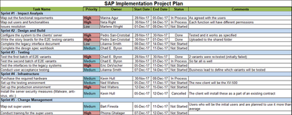 SAP Implementation Project Plan